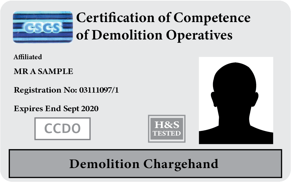 CCDO Silver Demolition Chargehand