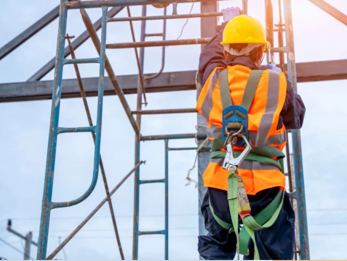 harness and fall arrest