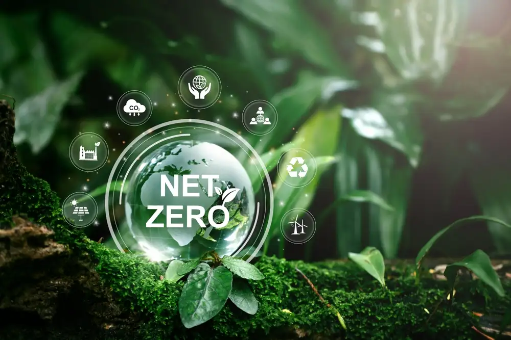 what is net zero in construction