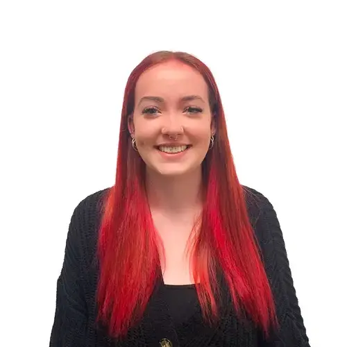 sophie workforce skills support